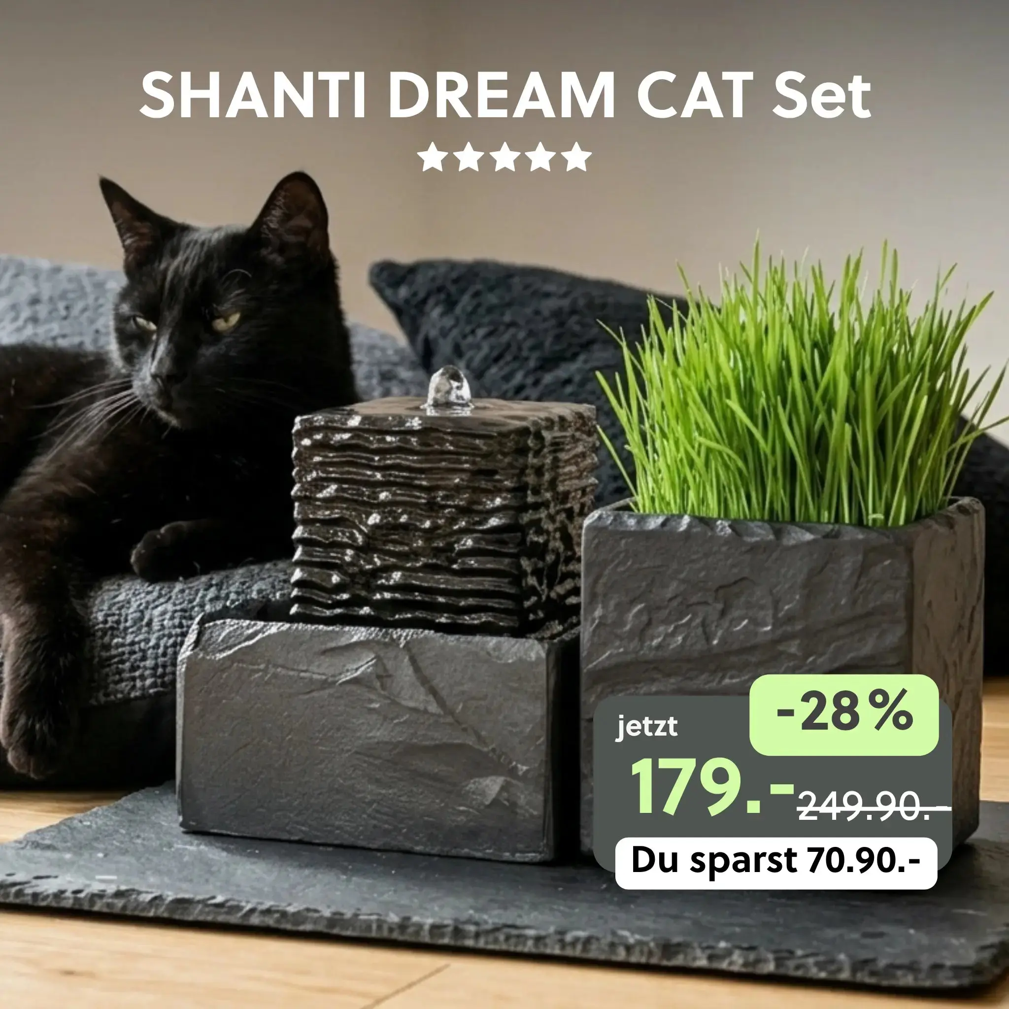 Aktuelle Highlights und Bestseller
